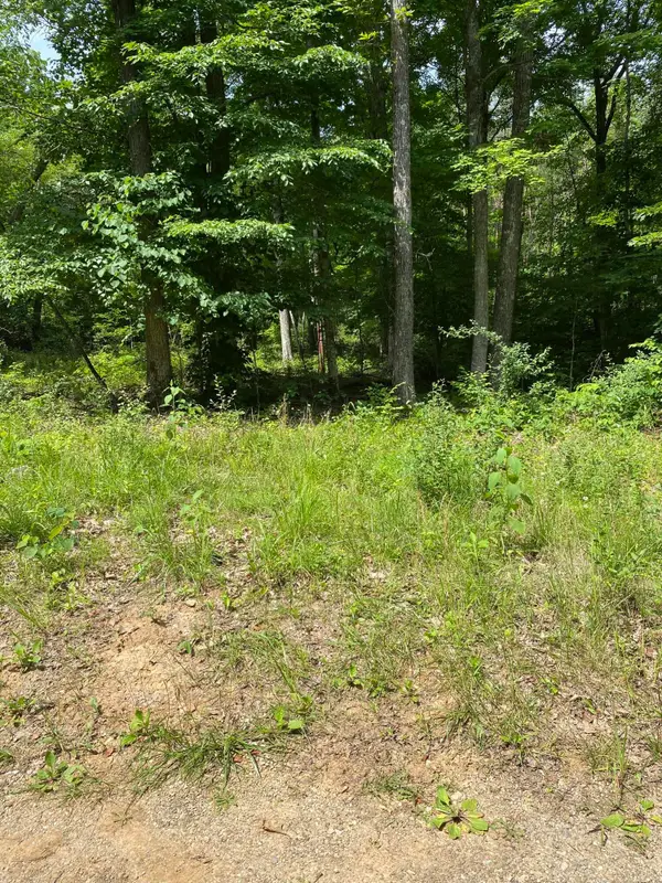 0 S Maugham Drive, Burnside, KY 42519