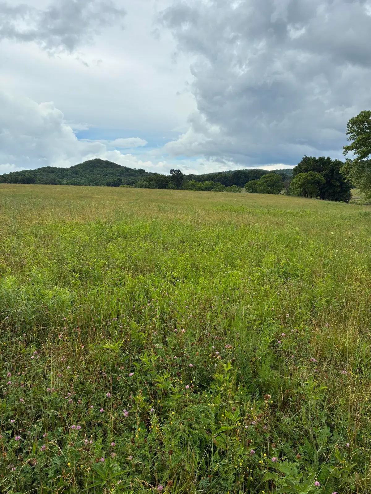 1234 Hart Pike, Owingsville, KY 40360 - #1