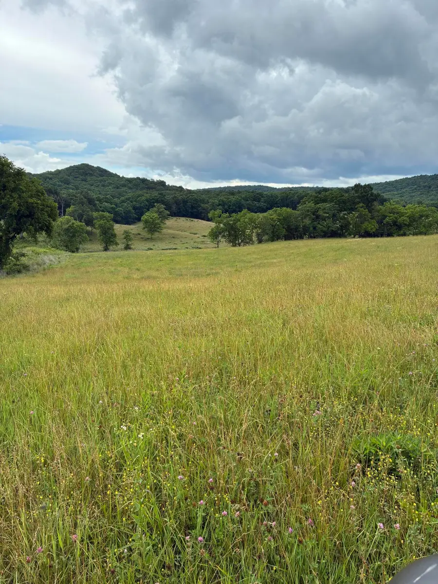 1234 Hart Pike, Owingsville, KY 40360 - #3