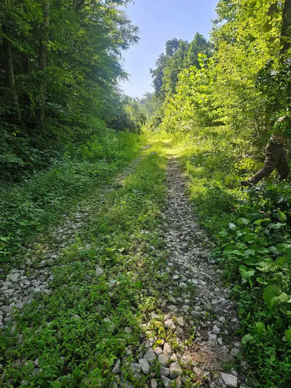 4242 Right Fork Georges Creek Road, Louisa, KY 41230
