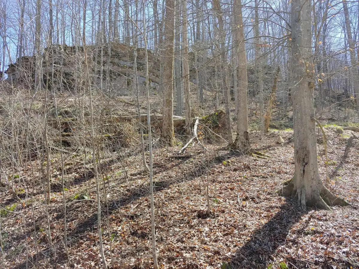 0 Birch Hollow Rd #Lot 11 Phase 2, Stanton, KY 40380 - #1