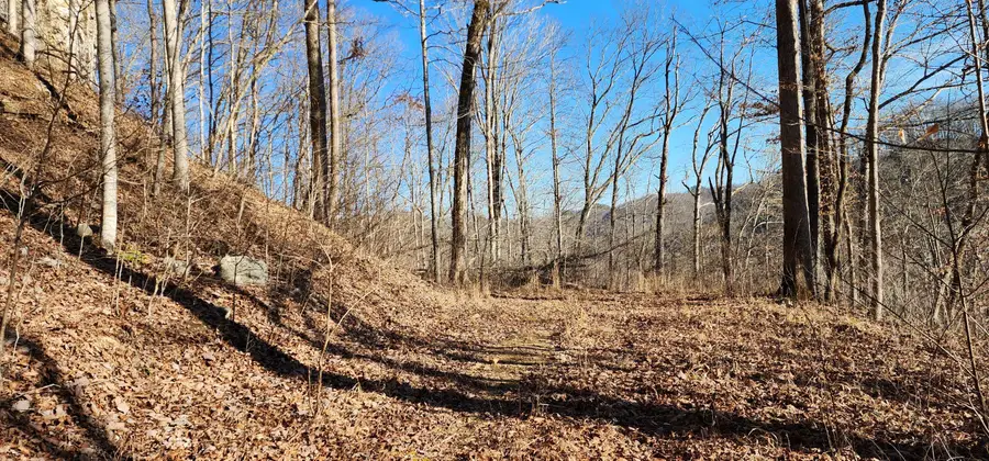 0 Birch Hollow Rd Road #Lot  20 Phase 3, Stanton, KY 40380 - #2