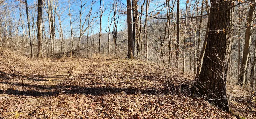 0 Birch Hollow Rd Road #Lot  20 Phase 3, Stanton, KY 40380 - #3