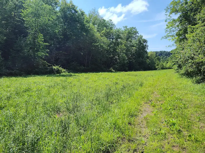 350 Boyd Cemetery Road, Morehead, KY 40351 - #1