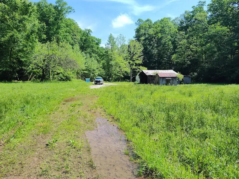 350 Boyd Cemetery Road, Morehead, KY 40351 - #2