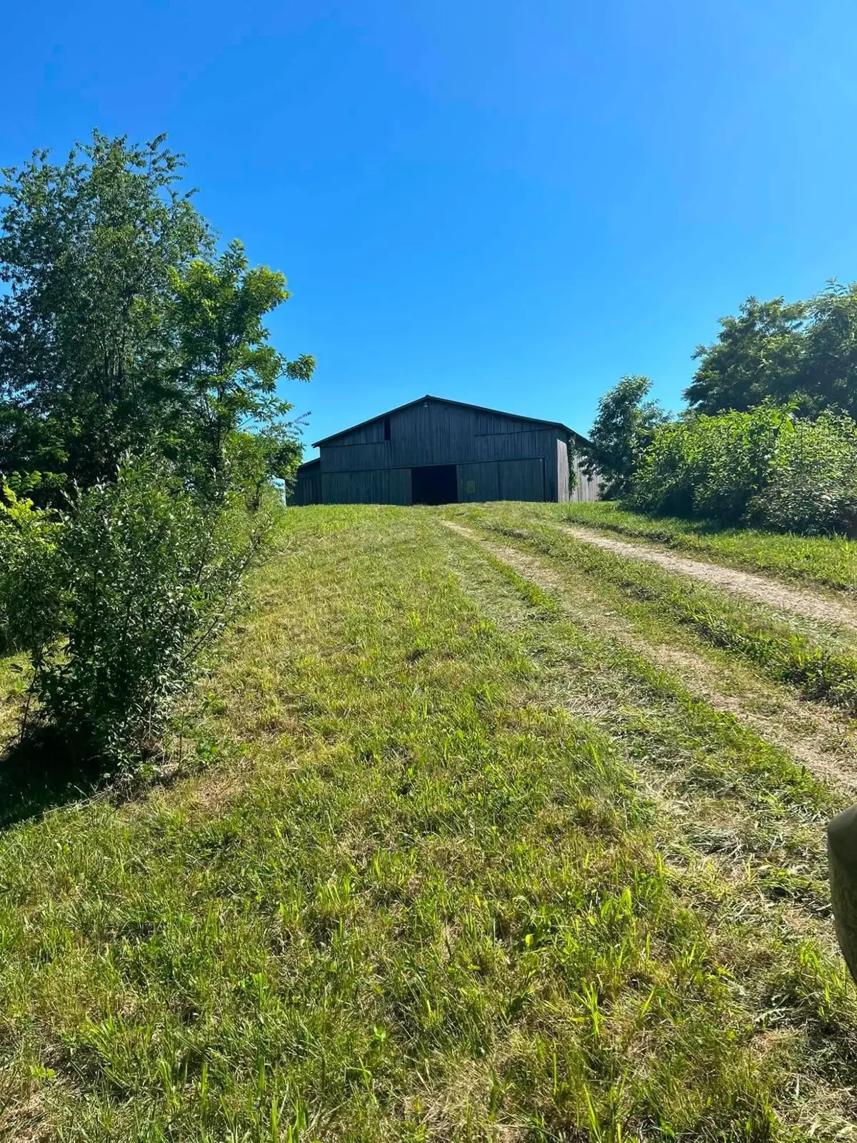 440 Randolph Road, Olive Hill, KY 41164 - #1
