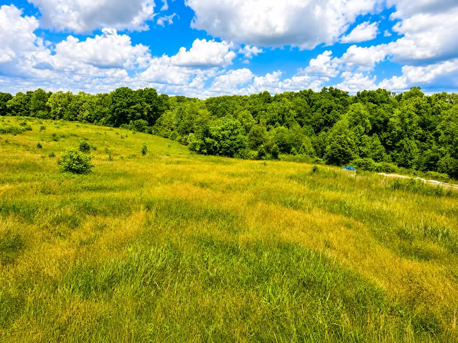 10 Cornetts Cv Road, Hustonville, KY 40437 - #3