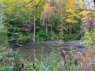 1001 Wilber Hill Road, Blaine, KY 41124 - #2