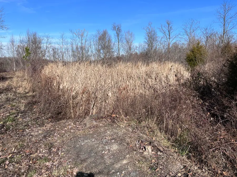 2557 Kentucky 1071, Tyner, KY 40486 - #3