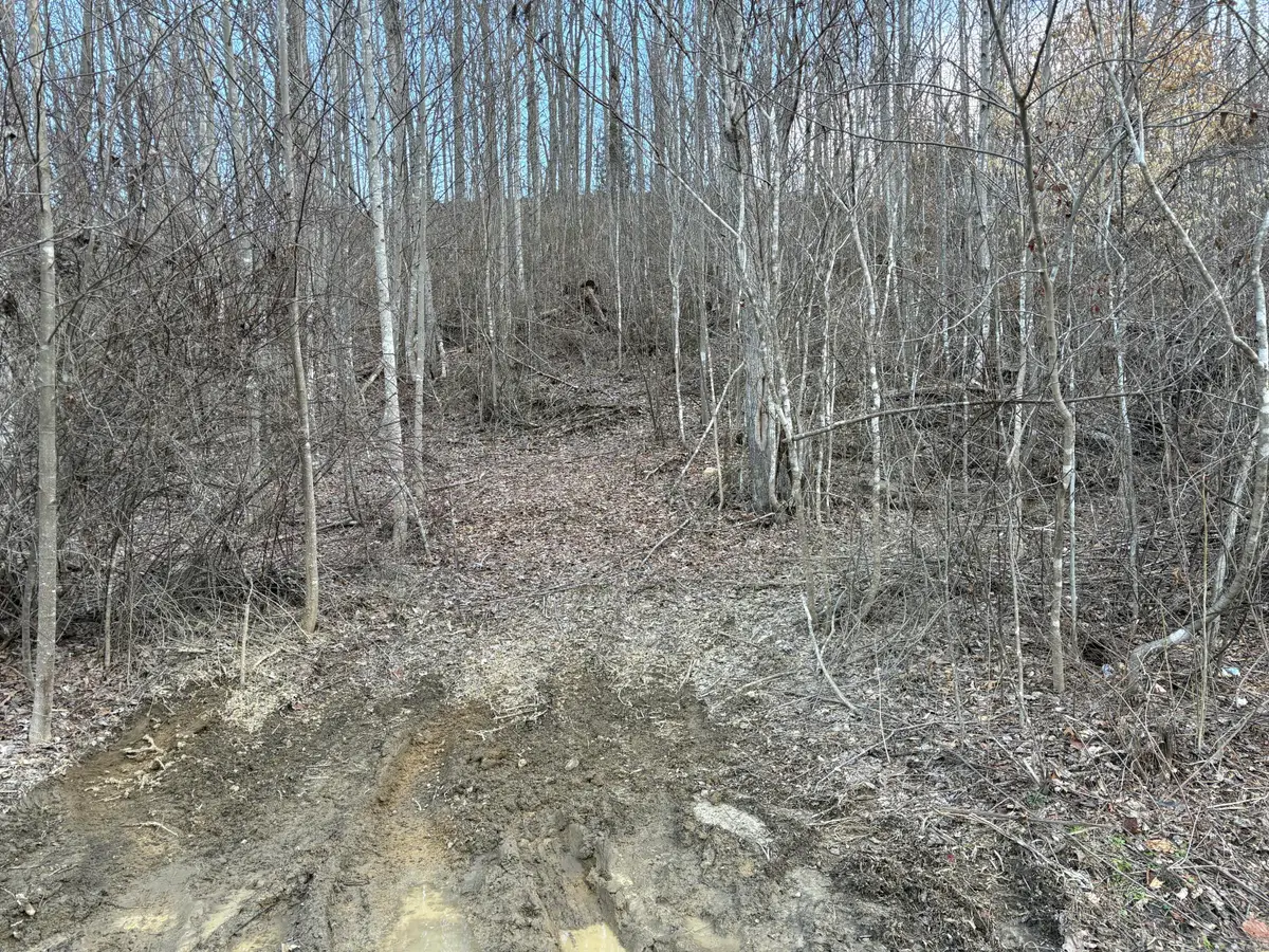 1251 Sarvice Hollow Road, Irvine, KY 40336 - #1