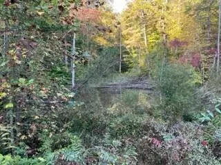 1003 Wilber Hill Road, Blaine, KY 41124 - #1