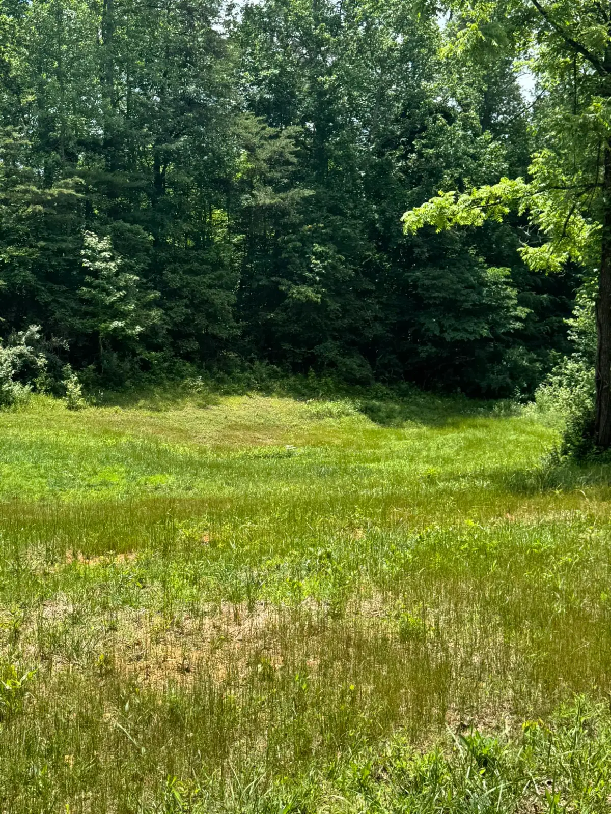 6548 State Highway 1680, Jamestown, KY 42629 - #1