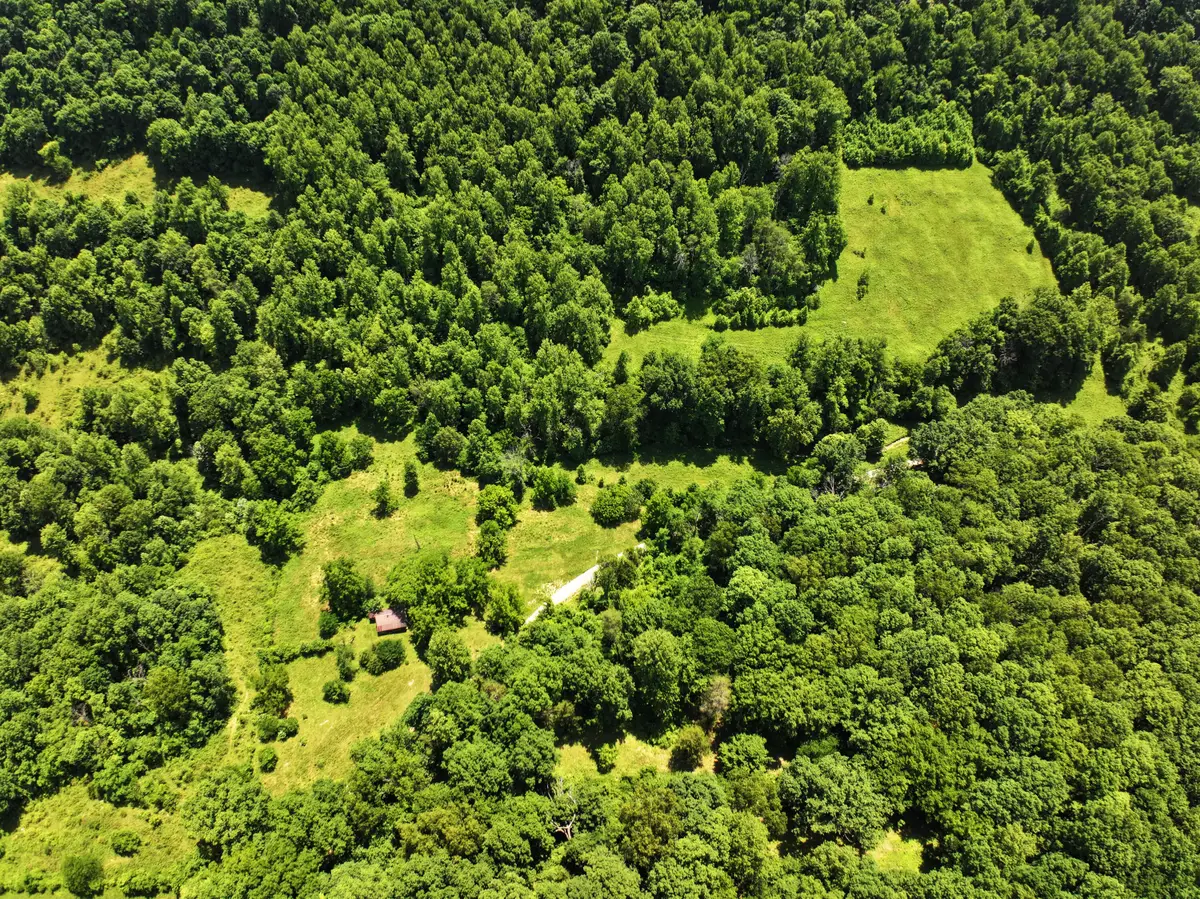 9999 Mcswain Branch, Irvine, KY 40336 - #1