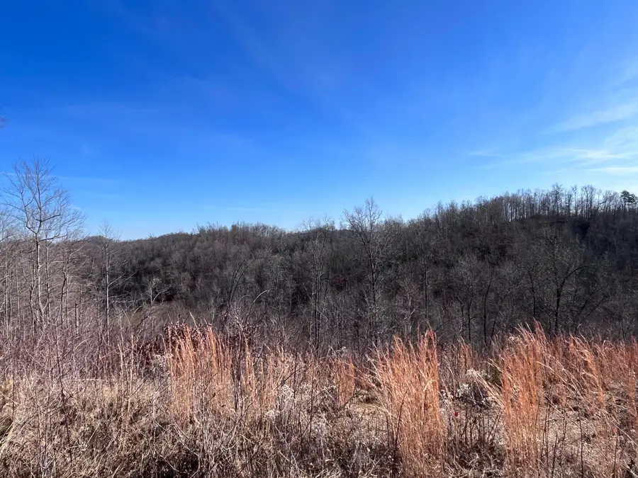 2555 Kentucky 1071, Tyner, KY 40486 - #2