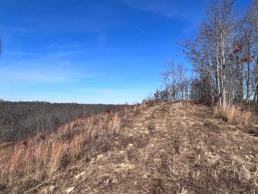2555 Kentucky 1071, Tyner, KY 40486 - #3