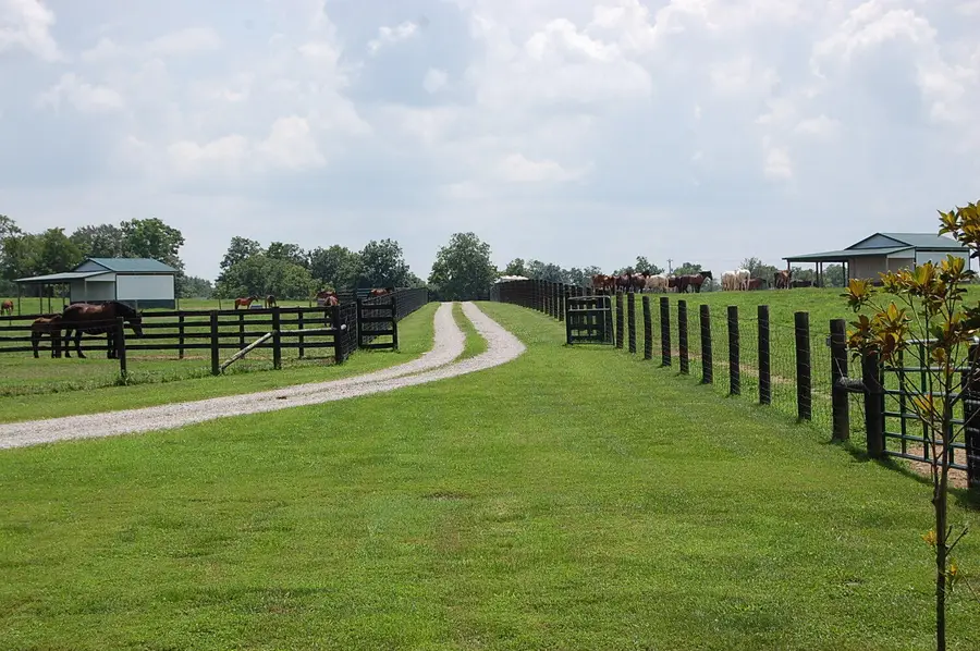 1378 Brentsville Road, Paris, KY 40361 - #3