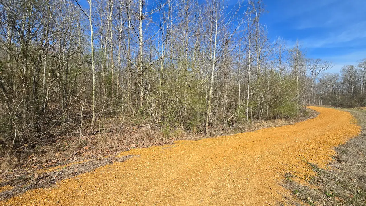 000 Mcclain Drive, New Concord, KY 42076 - #1