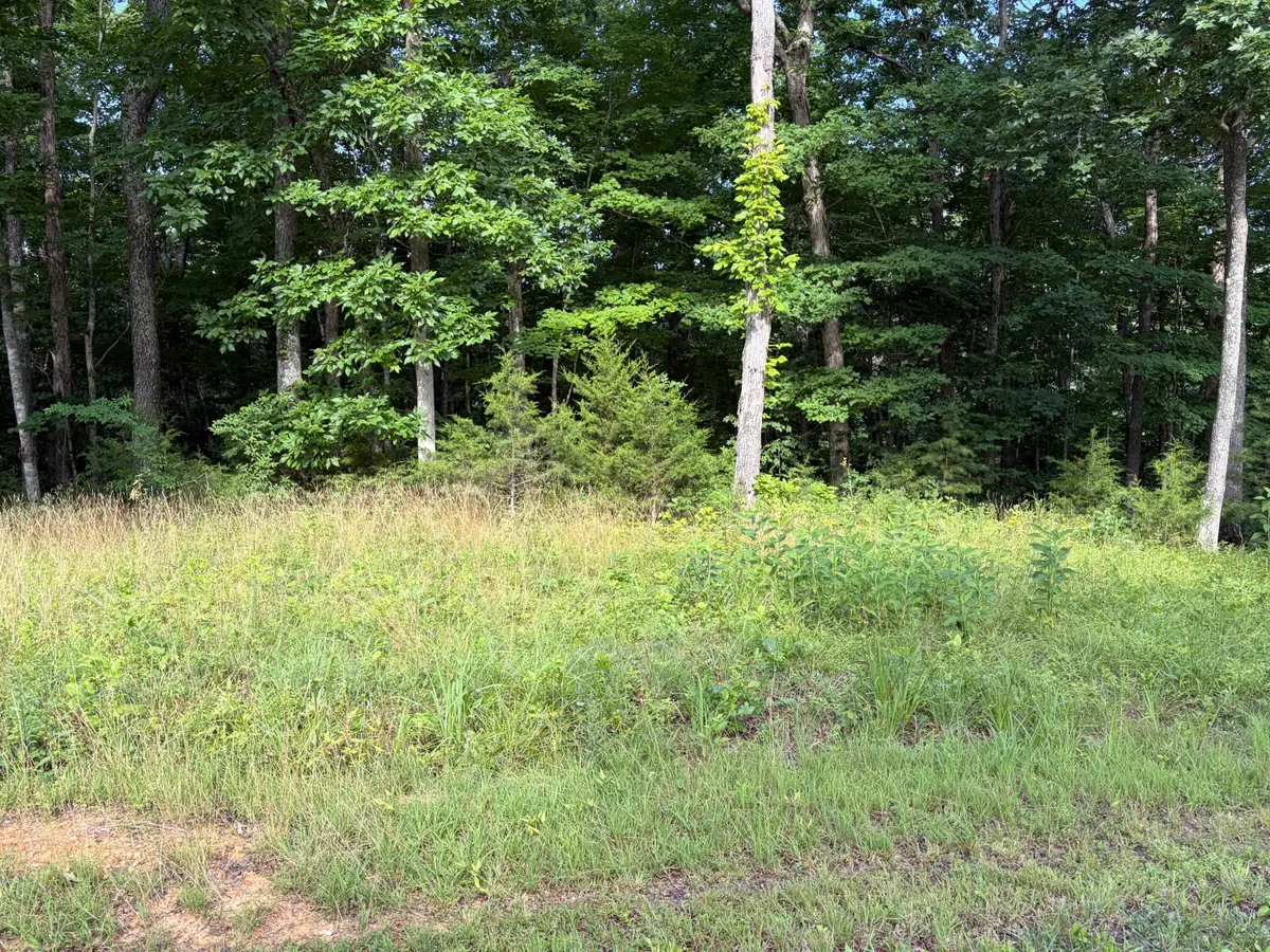 132 W West Willow Point Road, Monticello, KY 42633 - #1