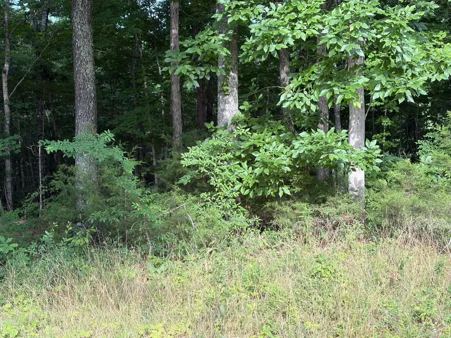 132 W West Willow Point Road, Monticello, KY 42633 - #2