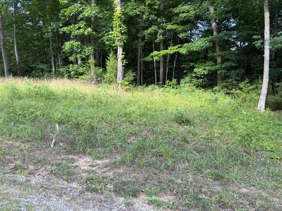 132 W West Willow Point Road, Monticello, KY 42633 - #3
