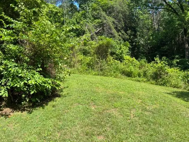 399 Campground Road, Bonnieville, KY 42713 - #1