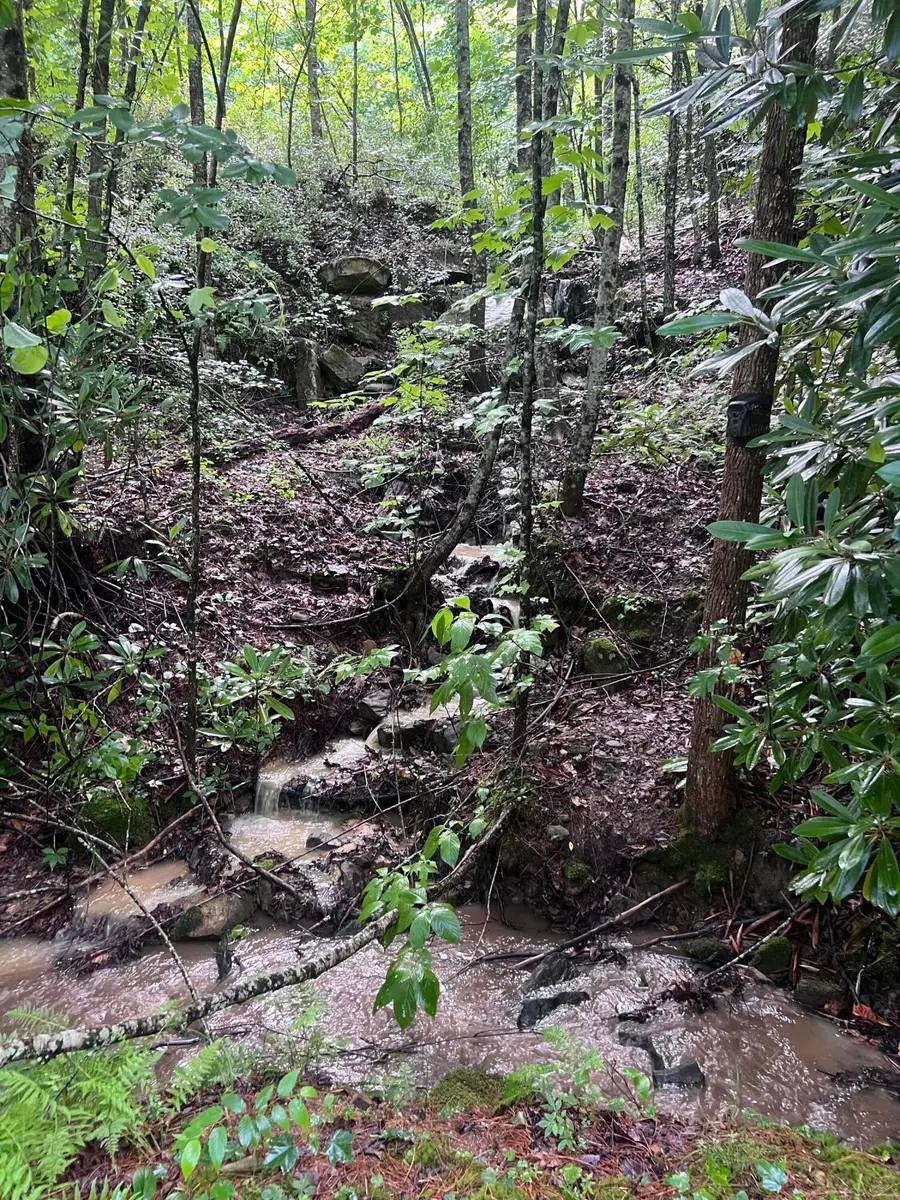 207 Jim Hollow Road, Pineville, KY 40977 - #2