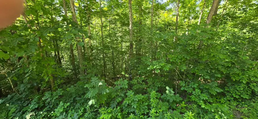 0, Lot 1 Roberts Bend Road, Burnside, KY 42519 - #2