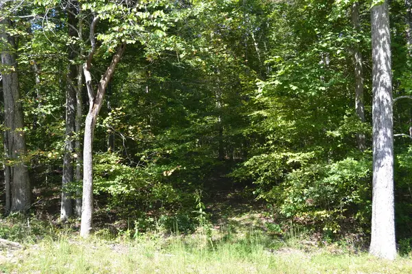 3 Rolling Mill Road, Eddyville, KY 42038
