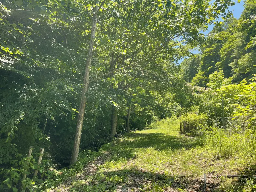 6758 Highway 66, Arjay, KY 40902 - #3
