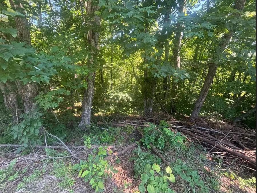 9999 Roberts Bend Road, Burnside, KY 42519 - #2