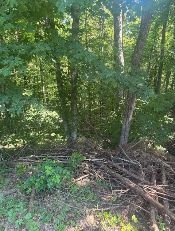 9999 Roberts Bend Road, Burnside, KY 42519 - #3