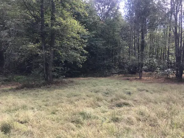TBD Farmhouse Trail #91 Acres Land, Morehead, KY 40351