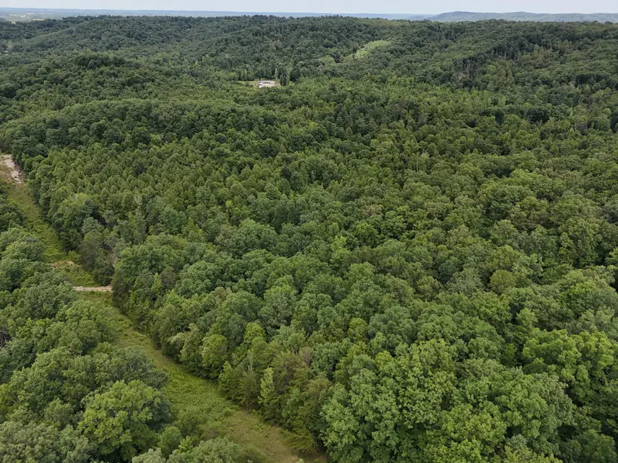 TBD Farmhouse Trail #91 Acres Land, Morehead, KY 40351 - #3