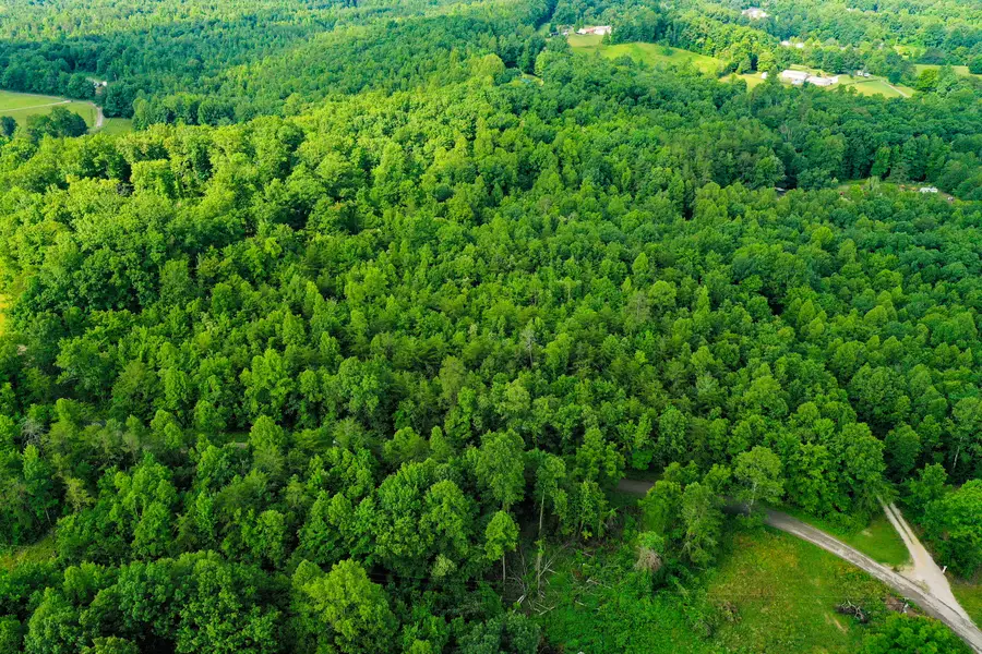 9999 Brooks Rd Road, Williamsburg, KY 40769 - #3