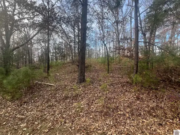00 0 Steamboat Rd Road #Lot 9, Gilbertsville, KY 42044