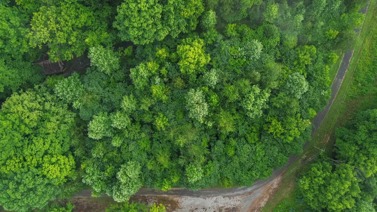 911 Bradley Road, Albany, KY 42602 - #1