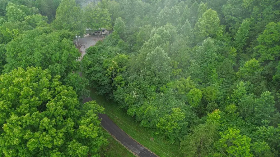 911 Bradley Road, Albany, KY 42602 - #3