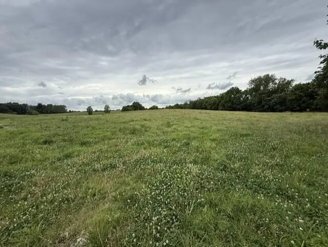 665 Lillies Ferry Road, Winchester, KY 40391 - #2