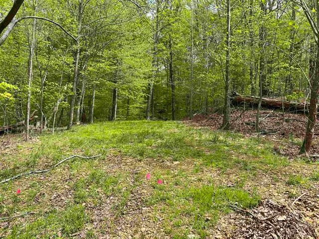 000 Blake Road #Lot 39 & 40, Eddyville, KY 42038 - #1
