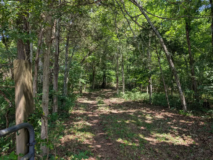 41.15 acres State Highway 506, Marion, KY 42064 - #3