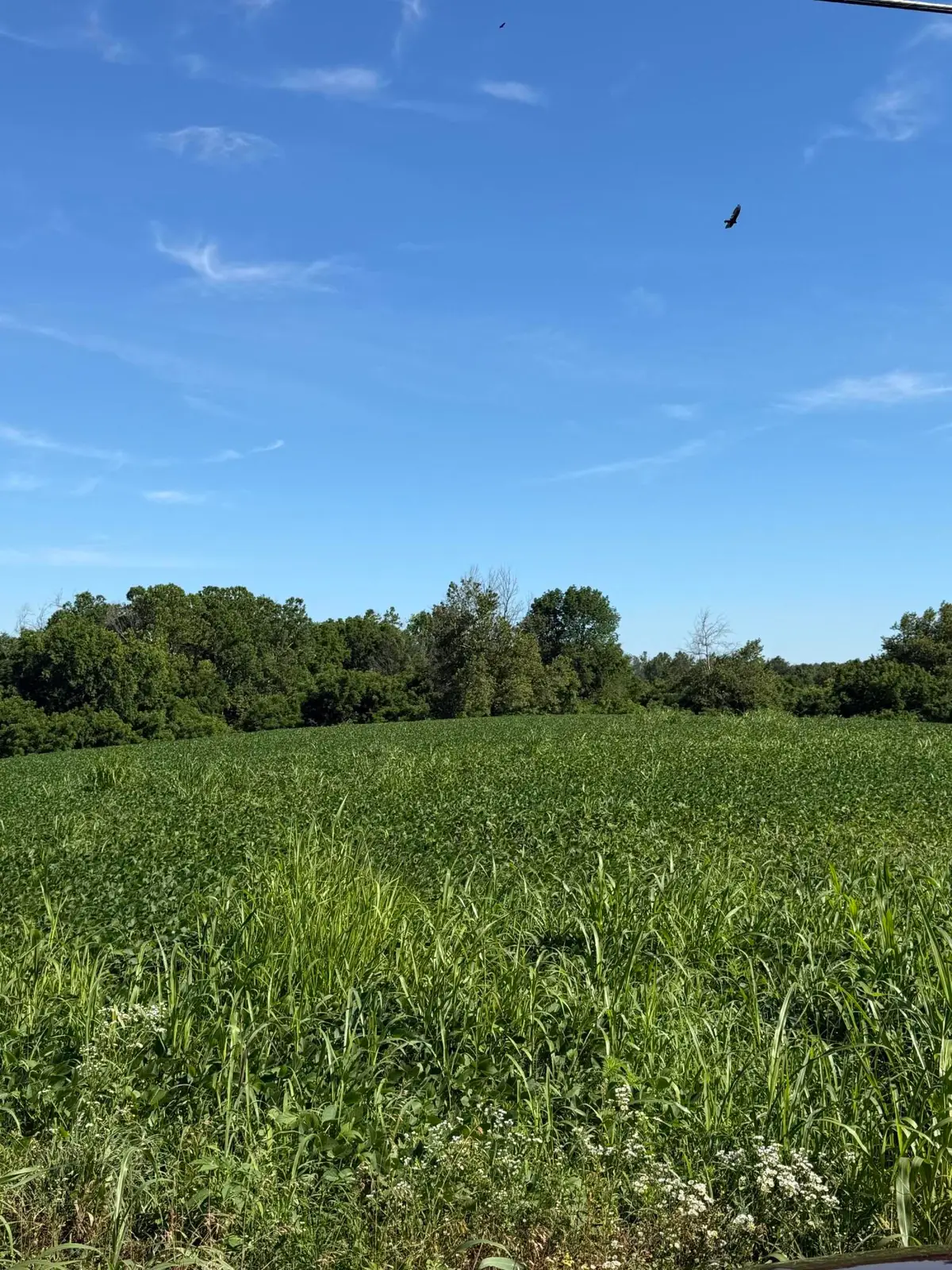 7825 Mount Carmel Road, Flemingsburg, KY 41041 - #1