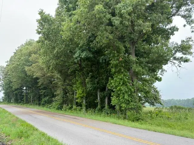 Parcel #026-0-0016 Taylor Store Road, Murray, KY 42071 - #1