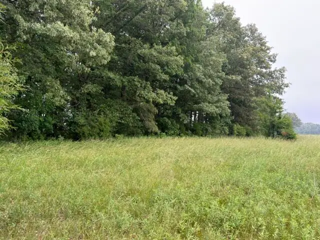 Parcel #026-0-0016 Taylor Store Road, Murray, KY 42071 - #2