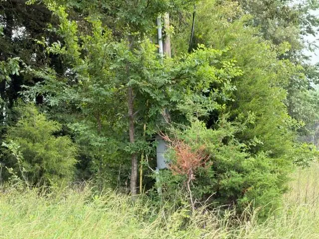 Parcel #026-0-0016 Taylor Store Road, Murray, KY 42071 - #3
