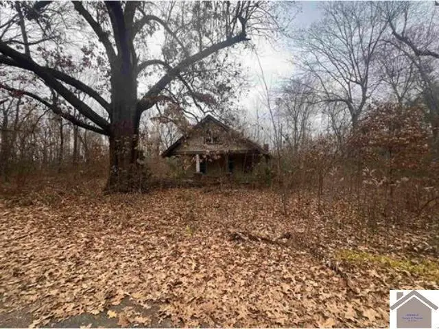 18 Central Street, Arlington, KY 42021 - #1