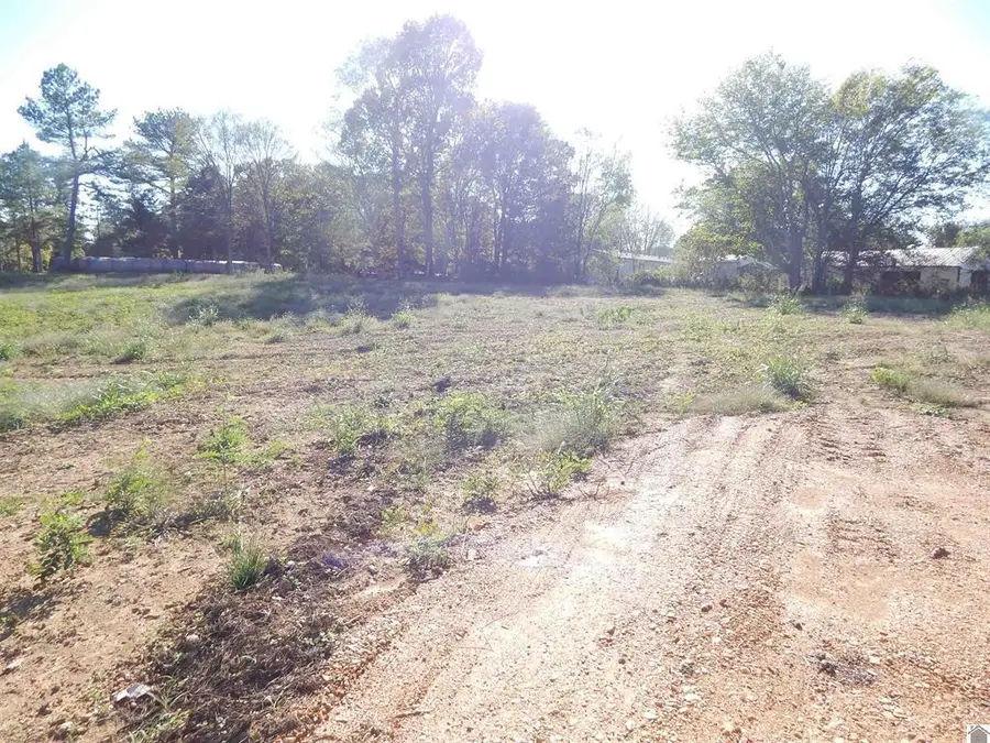 500 Little Bear Highway, Gilbertsville, KY 42044 - #2