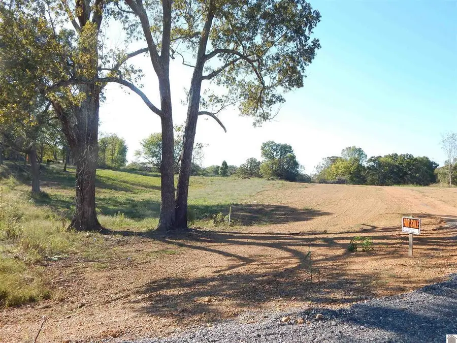 500 Little Bear Highway, Gilbertsville, KY 42044 - #3