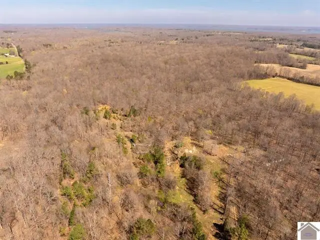 206 Stonebrook Lane, Benton, KY 42025 - #3