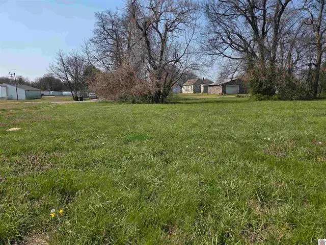 1133 S 3rd Street, Paducah, KY 42001 - #1
