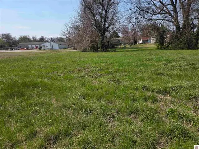 1133 S 3rd Street, Paducah, KY 42001 - #2